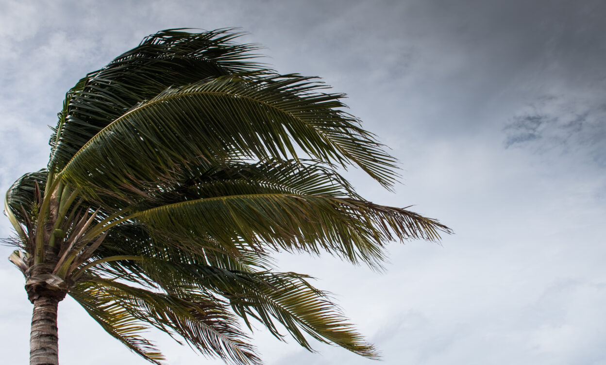 Hurricane Helene’s unexpected impact on Australian investments